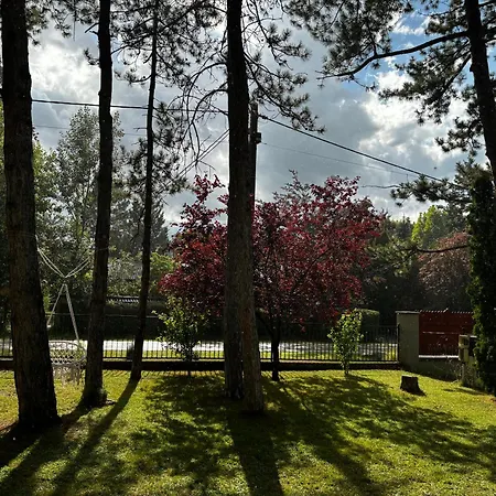 Viola بيت للعطل